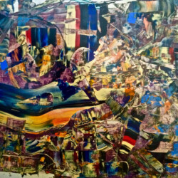 There are no birds in the city